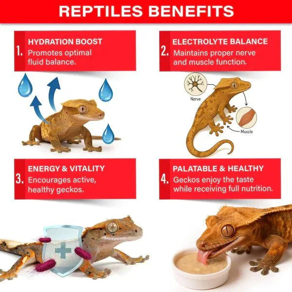 Gargeer Picky Geck Watermelon Crush - Premium Crested Gecko Food - Talis Us