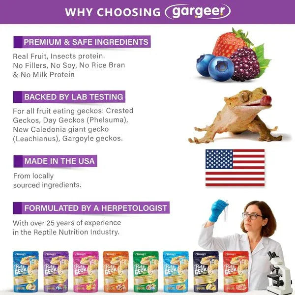Gargeer Picky Geck Wildberry Burst - Premium Crested Gecko Food - Talis Us