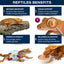 Gargeer premium crested gecko food benefits infographic showcasing nutrition, energy, and health support