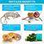 Gargeer reptile mineral supplement benefits for bone strength and digestion in reptiles