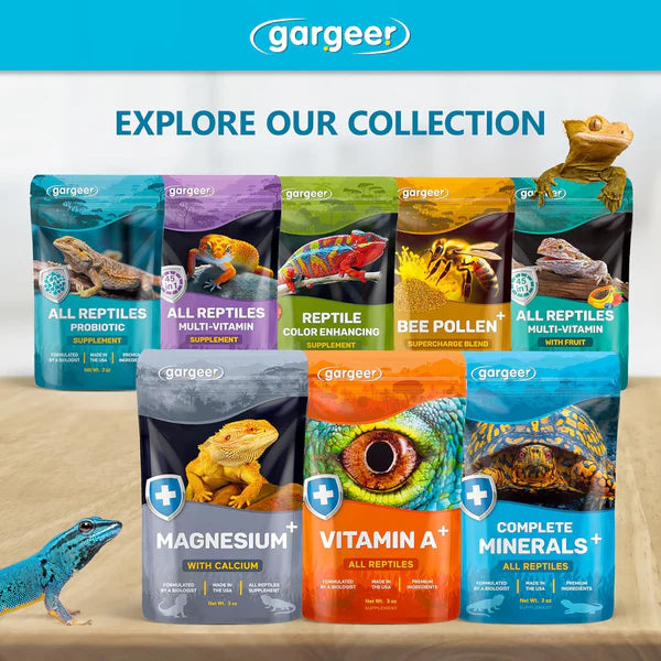 Gargeer reptile mineral supplement collection featuring various products for reptile health and nutrition