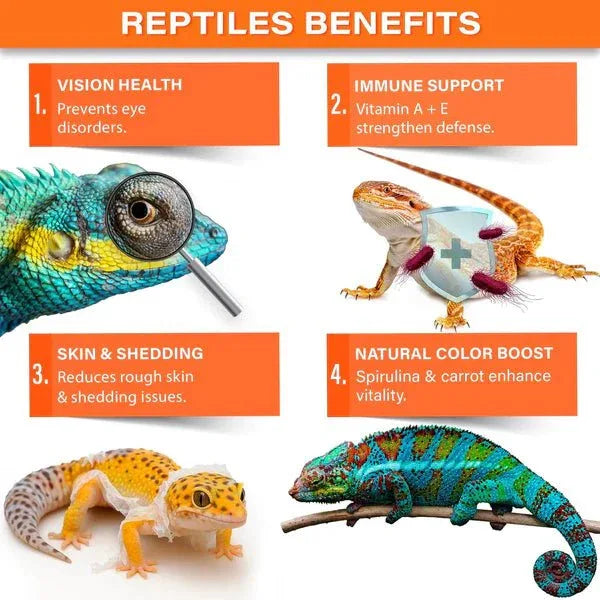 Gargeer Vitamin A Plus Supplement for Reptiles - Talis Us