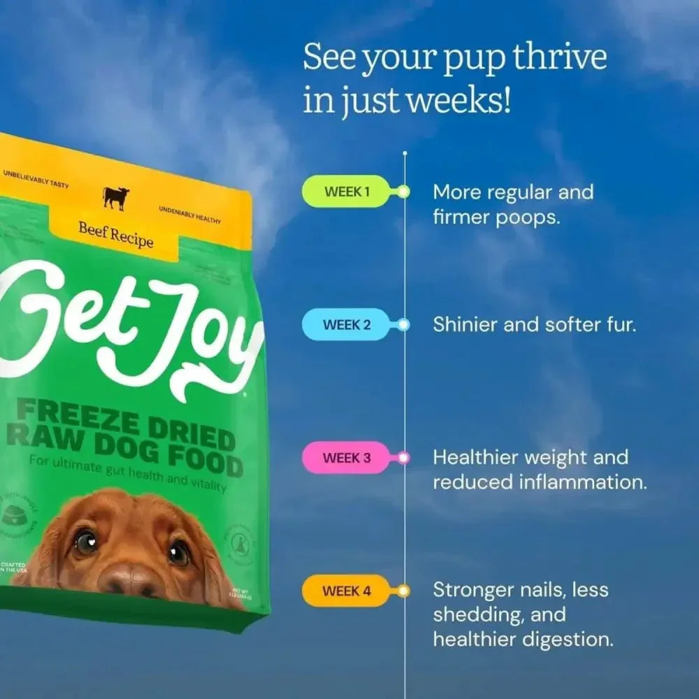 Get Joy Beef Recipe Human - Grade All Life Stages Freeze - Dried Raw Dog Food - Talis Us