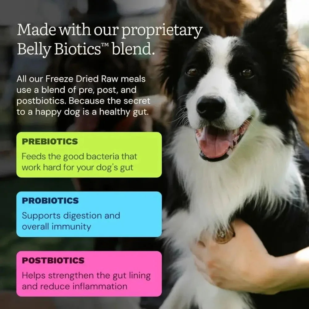 Get Joy Beef Recipe Human - Grade All Life Stages Freeze - Dried Raw Dog Food - Talis Us