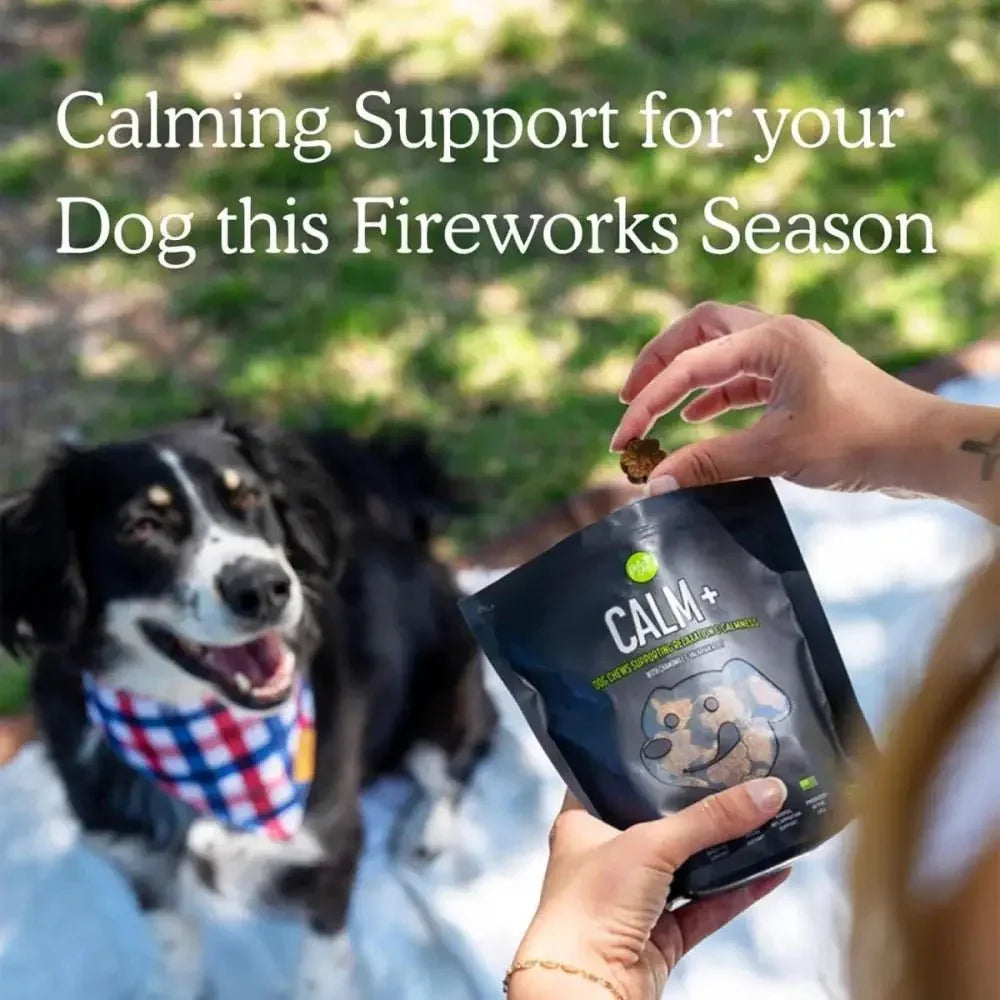 Get Joy Calming Supplements for Dogs - Relax & Calm 90 Count - Talis Us