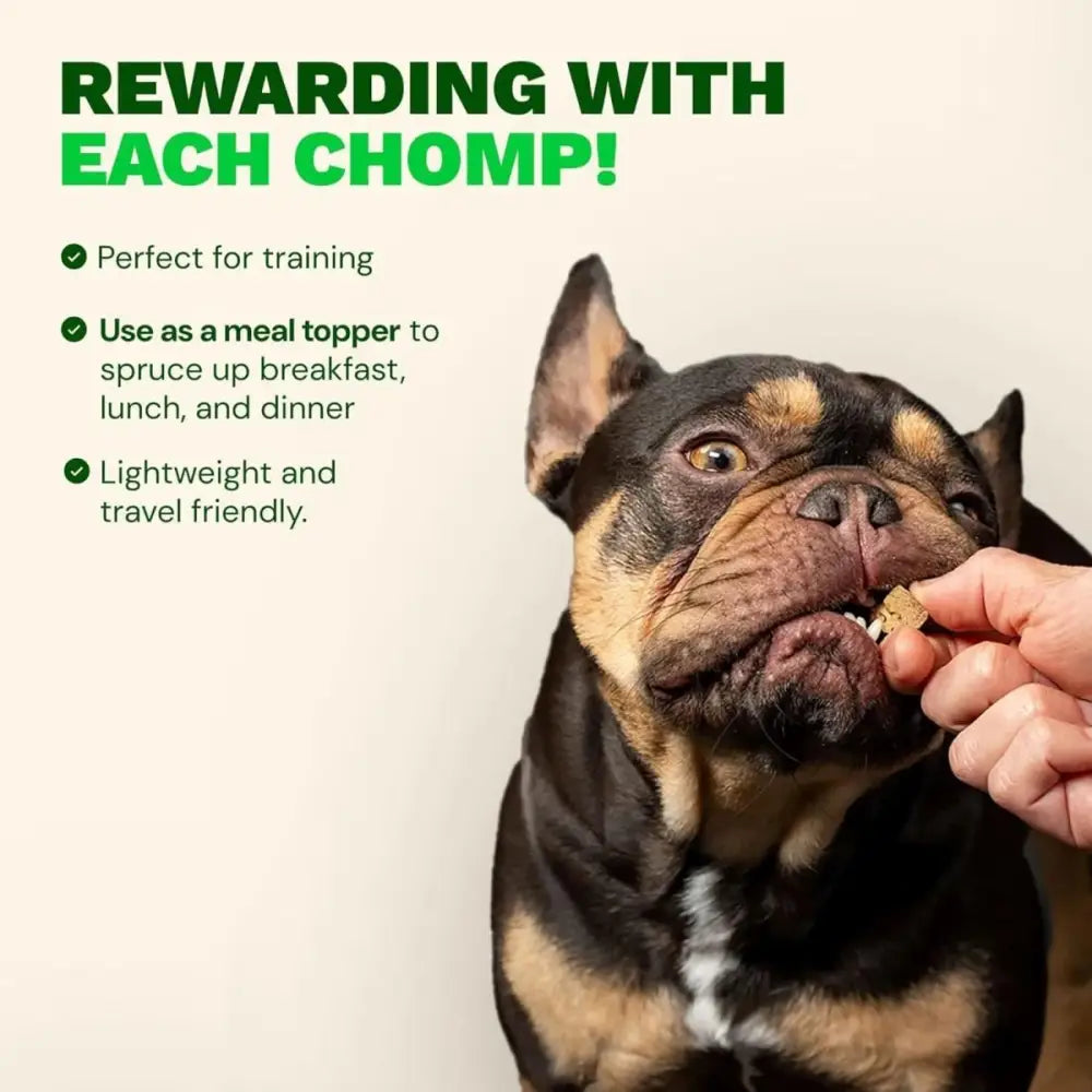 Get Joy Superfood Beef Organ Liver Freeze - Dried Dog Treats - Talis Us