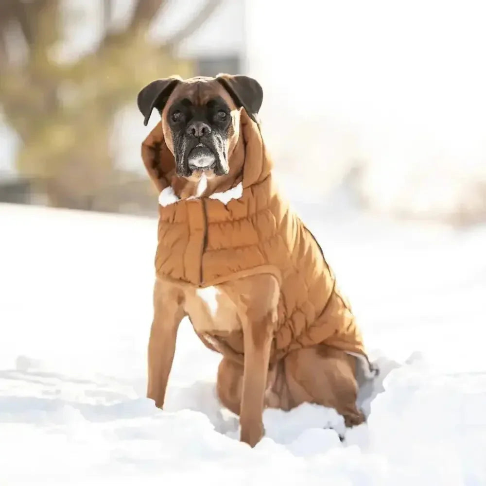 GF Pet Arctic Parka Dog Jacket - Talis Us
