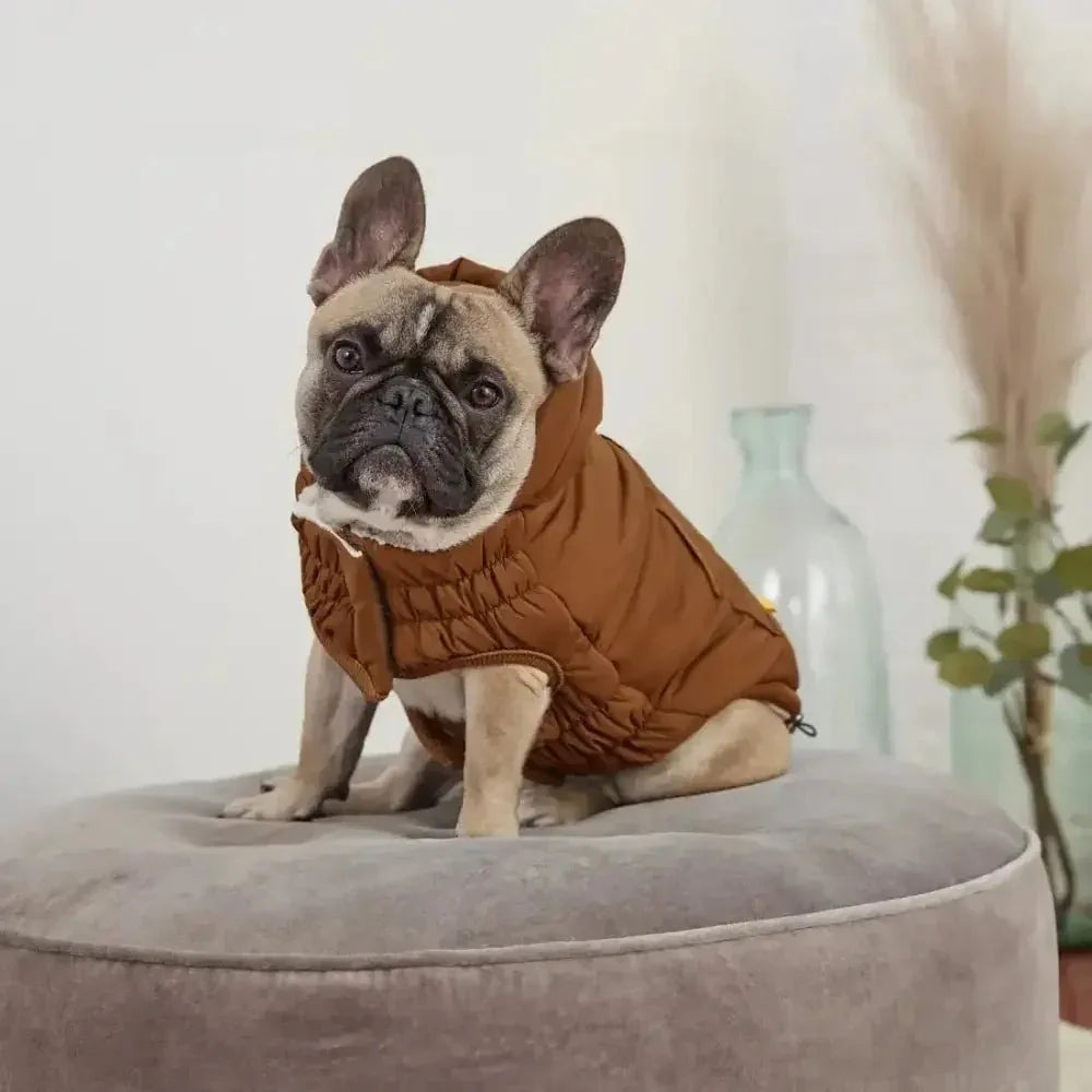 GF Pet Arctic Parka Dog Jacket - Talis Us