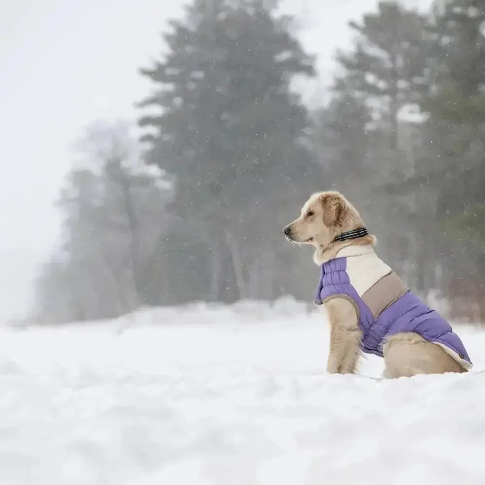 GF Pet Block Color Puffer Dog Coat - Talis Us