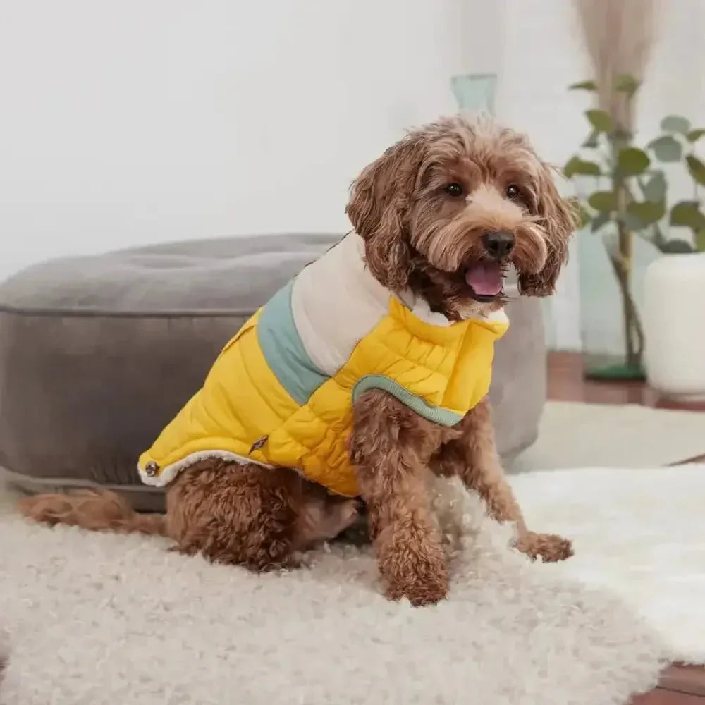 GF Pet Camplife Dog Puffer Jacket - Talis Us