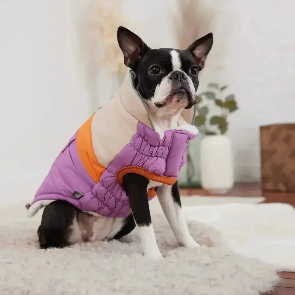 GF Pet Camplife Dog Puffer Jacket - Talis Us