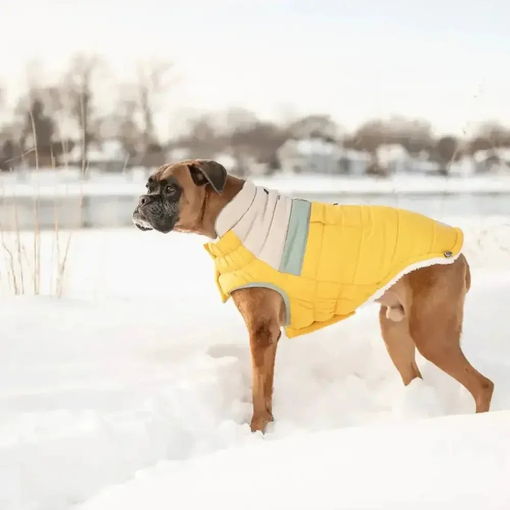 GF Pet Camplife Dog Puffer Jacket - Talis Us