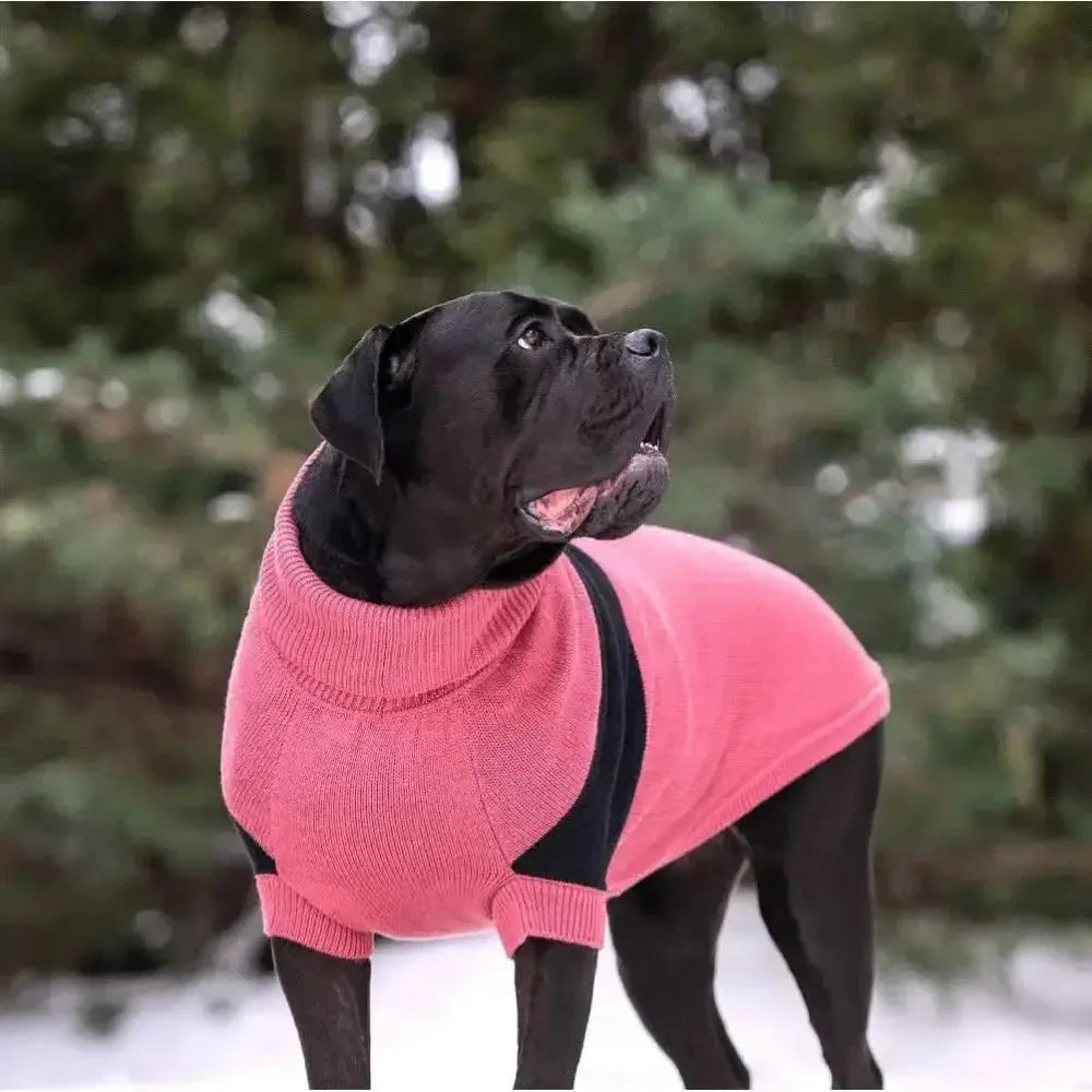 GF Pet Catalyst Dog Sweater - Talis Us