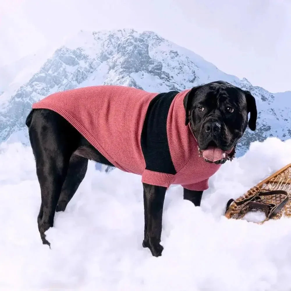 GF Pet Catalyst Dog Sweater - Talis Us