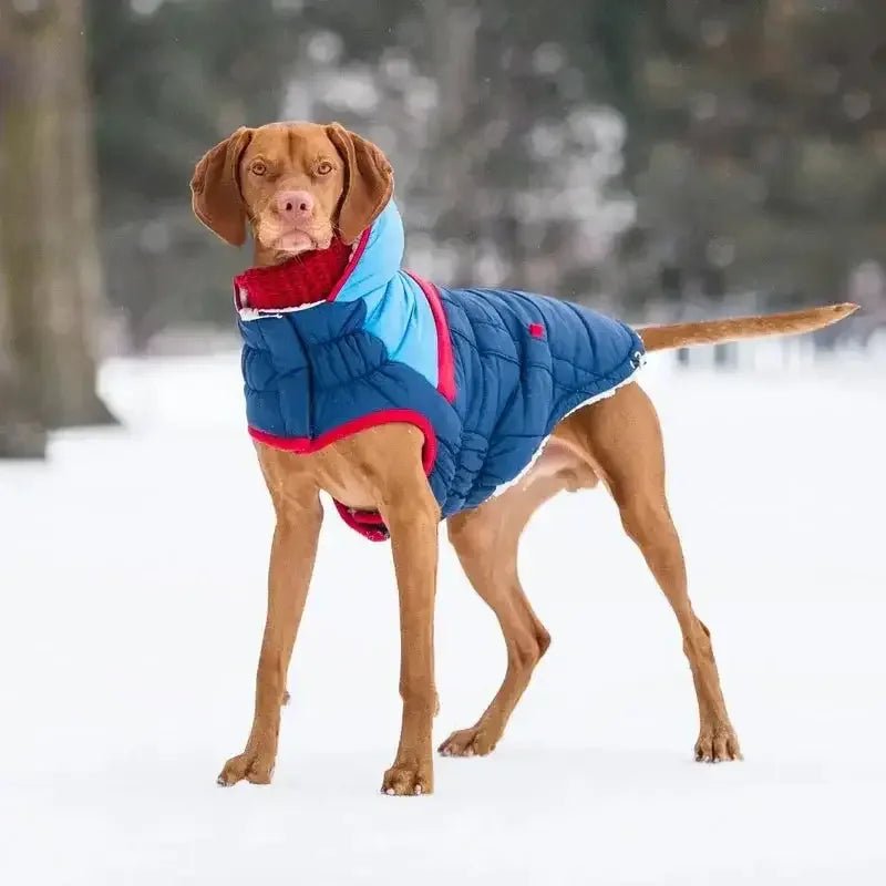 GF Pet Chalet Tube Dog Scarf - Talis Us