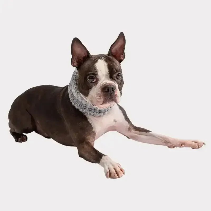 GF Pet Chalet Tube Dog Scarf - Talis Us