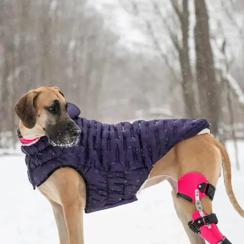 GF Pet Cloud Parka Dog Coat - Talis Us