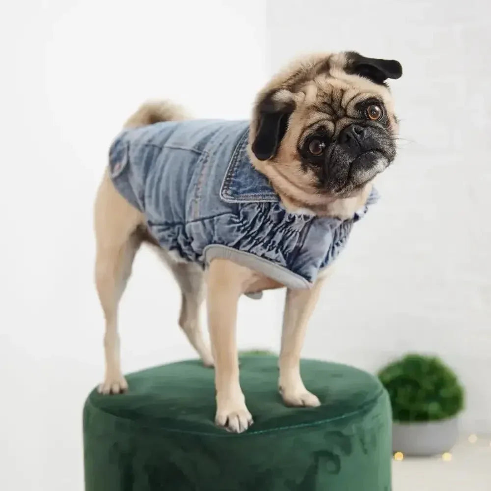 GF Pet Denim Dog Jacket Light Wash - Talis Us