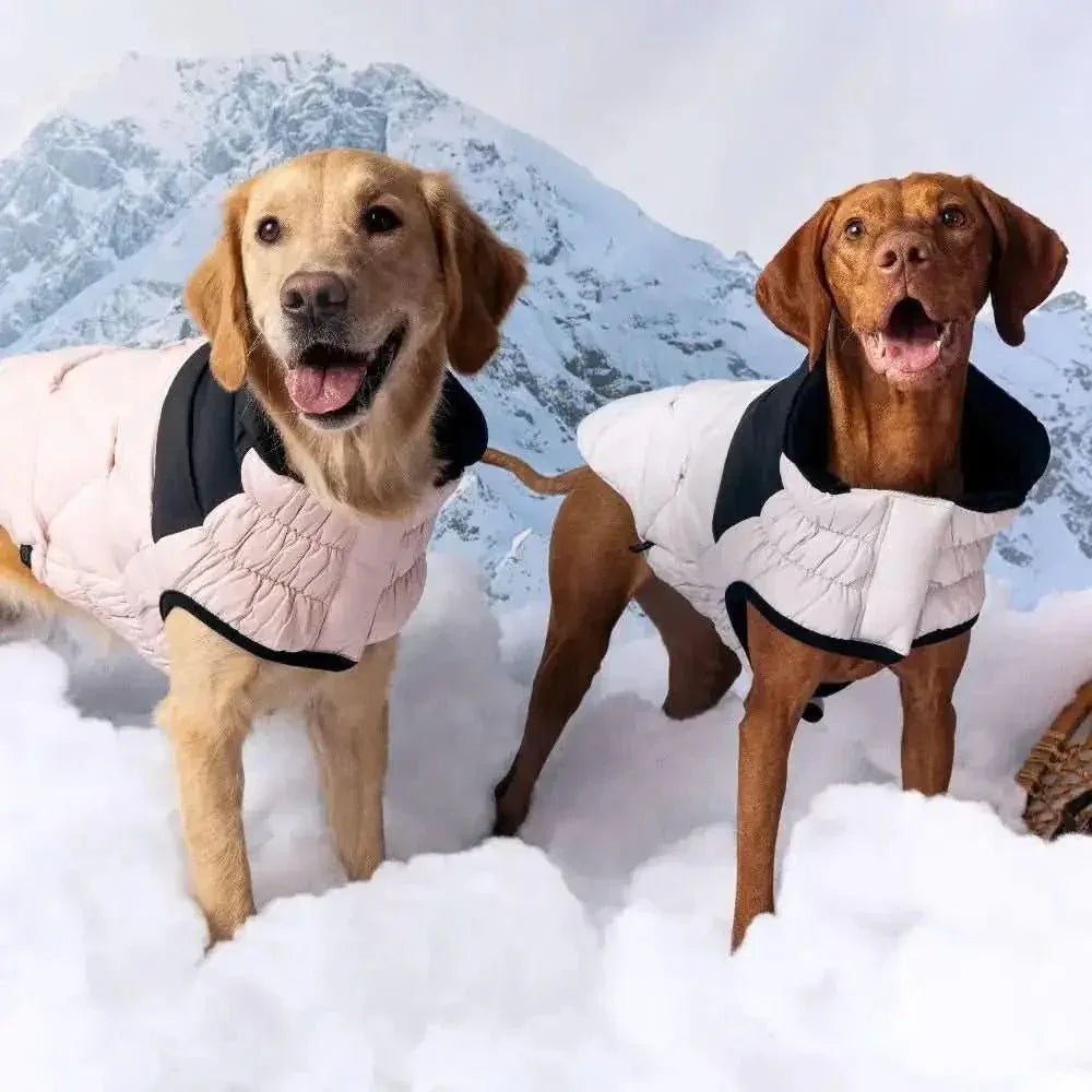 GF Pet Diamond Dog Puffer Jacket - Talis Us