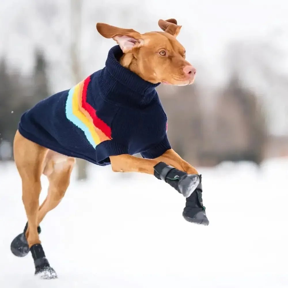 GF Pet Elastofit Dog Boots - Talis Us