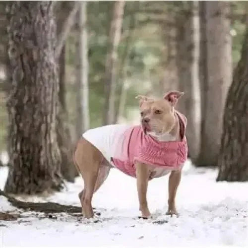 GF Pet Good Vibes Dog Hoodie - Talis Us