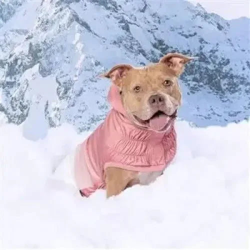 GF Pet Good Vibes Dog Hoodie - Talis Us