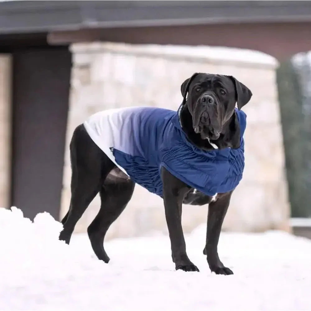 GF Pet Good Vibes Dog Hoodie - Talis Us