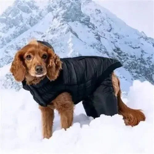 GF Pet Odyssey Dog Snowsuit - Talis Us