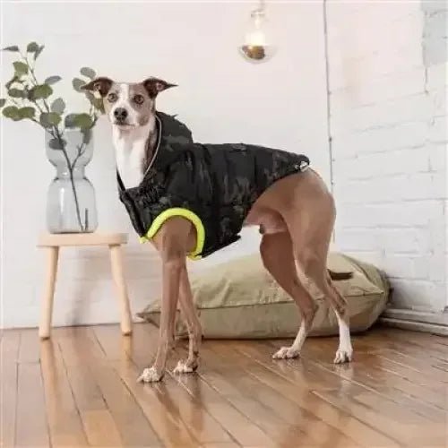 GF Pet Recycled Parka Dog Coat Camouflage - Talis Us