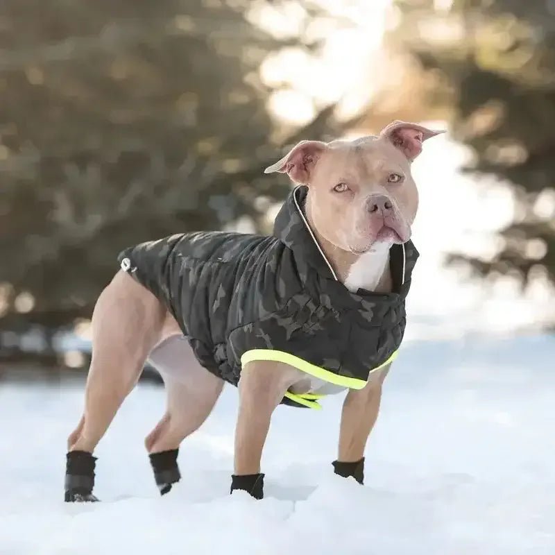 GF Pet Recycled Parka Dog Coat Camouflage - Talis Us