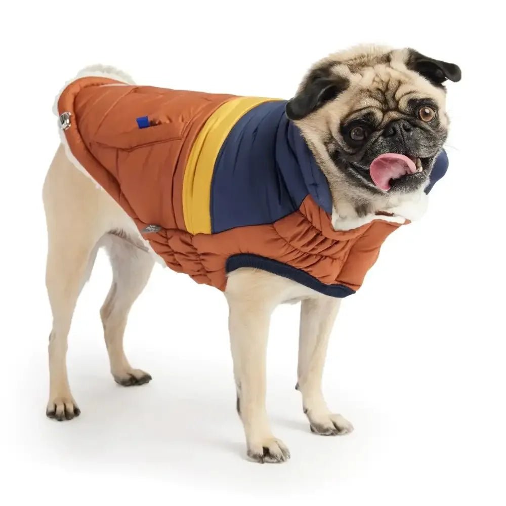 GF Pet Retro Puffer Hazel Dog Jacket w/ Warm Sherpa - Talis Us
