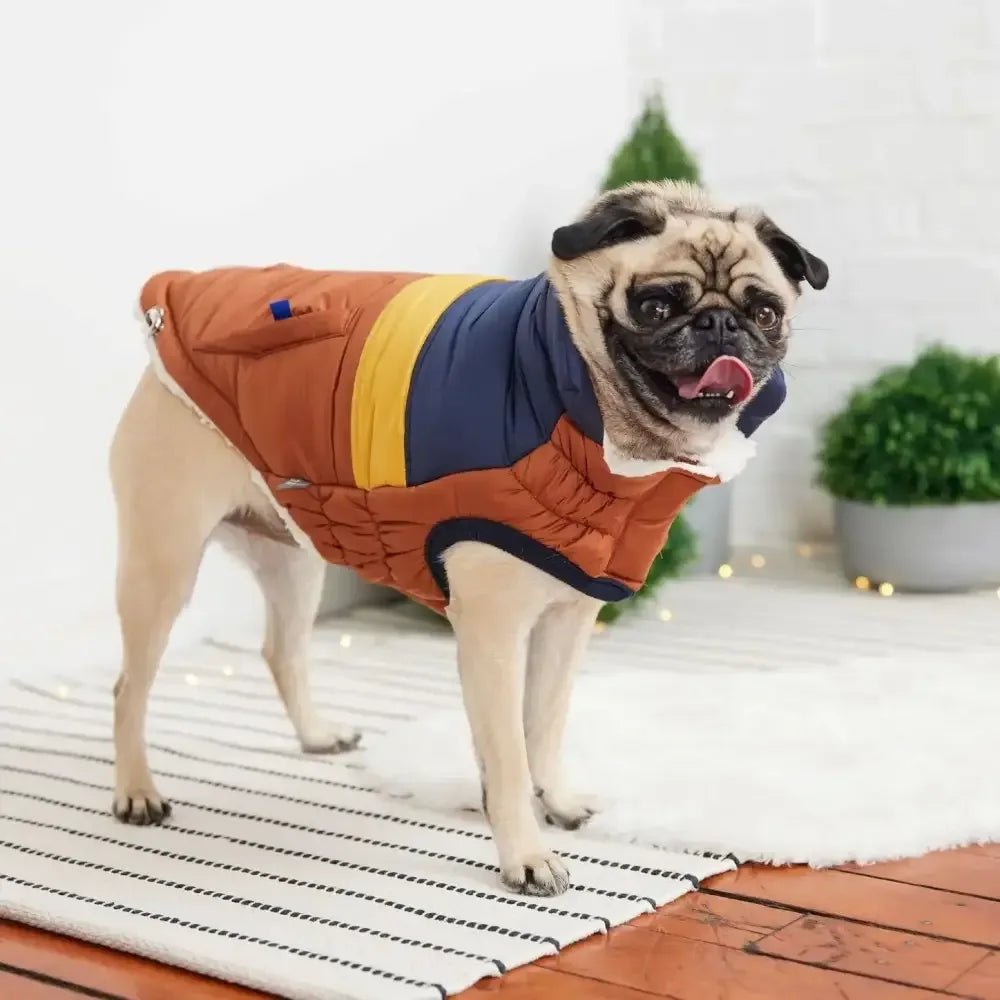 GF Pet Retro Puffer Hazel Dog Jacket w/ Warm Sherpa - Talis Us