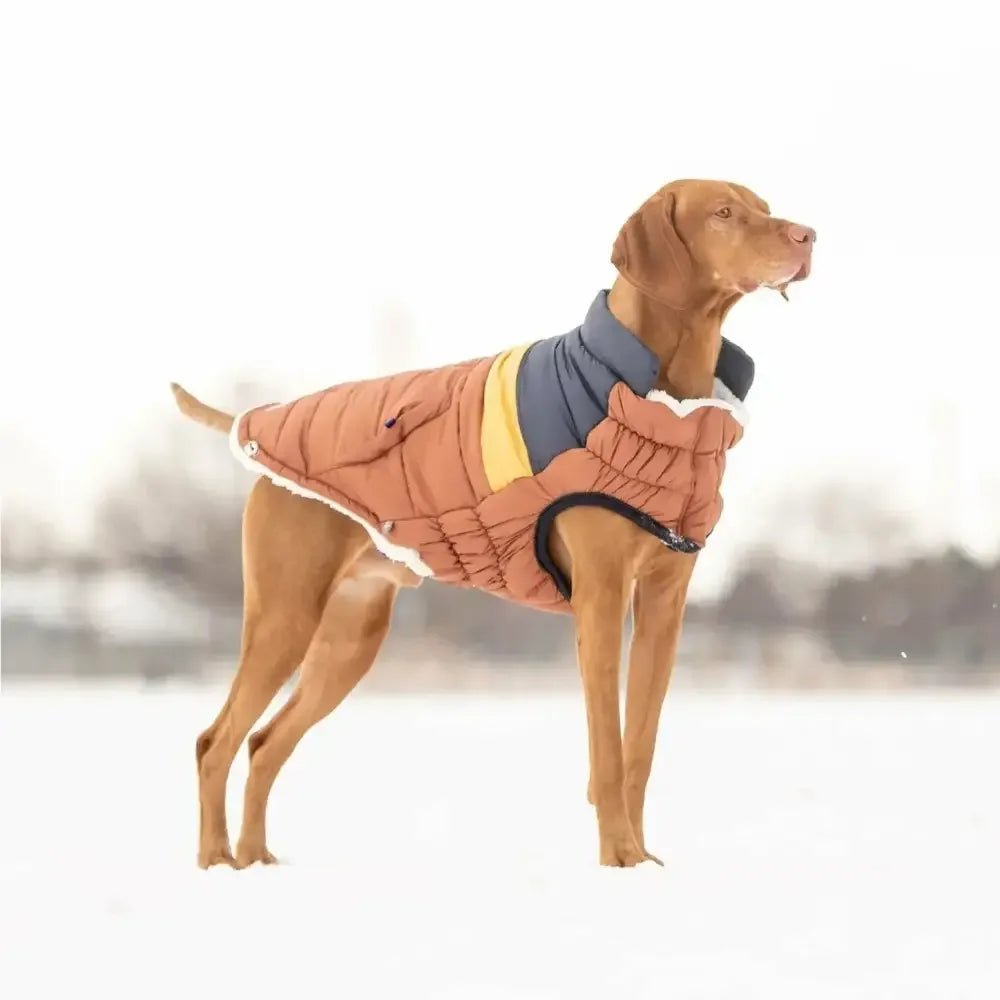 GF Pet Retro Puffer Hazel Dog Jacket w/ Warm Sherpa - Talis Us