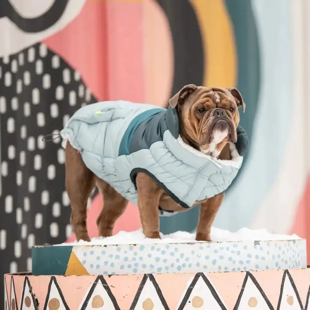 GF Pet Retro Puffer Light Blue Dog Jacket w/ Warm Sherpa - Talis Us