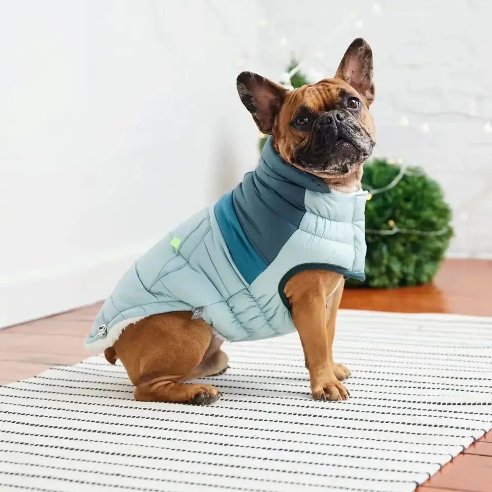 GF Pet Retro Puffer Light Blue Dog Jacket w/ Warm Sherpa - Talis Us