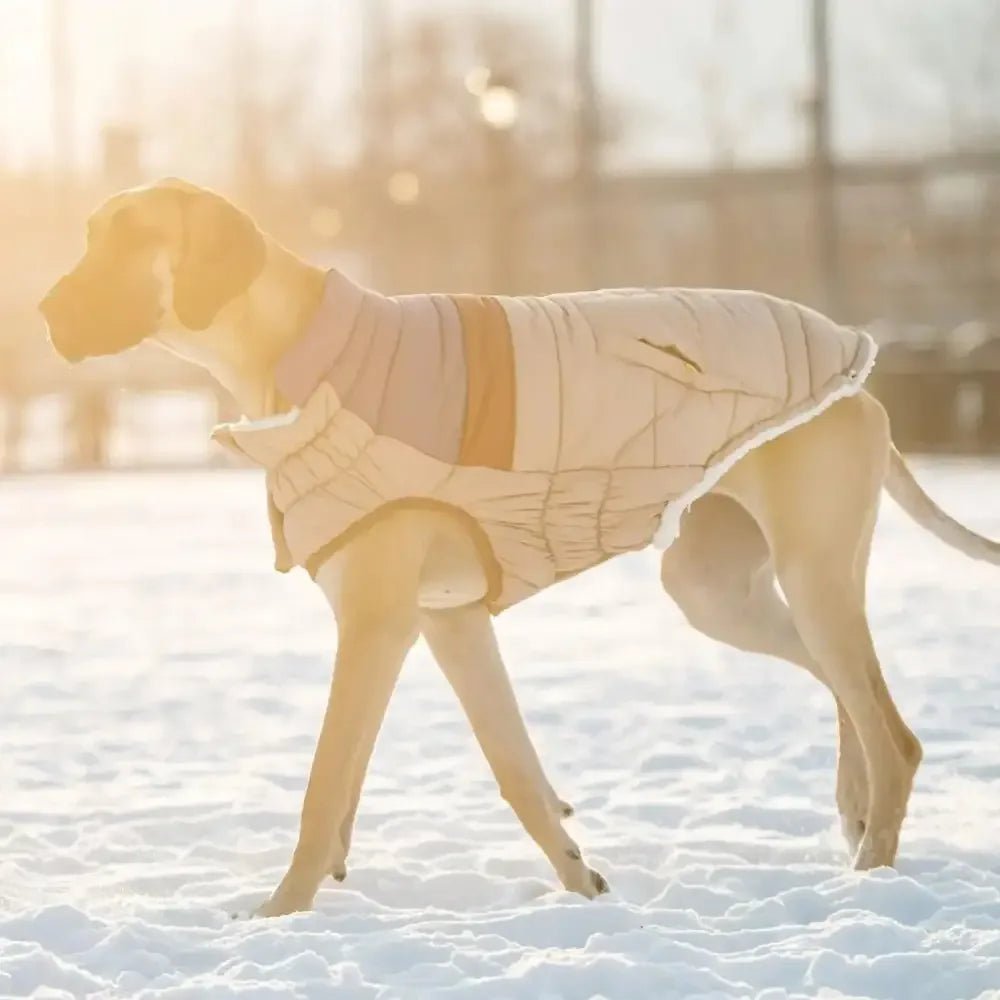 GF Pet Retro Puffer Sand Dog Puffer Jacket w/ Warm Sherpa - Talis Us