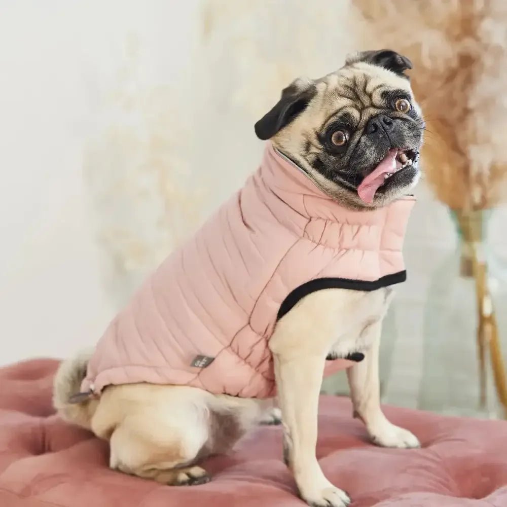 GF Pet Reversible Chalet Winter Dog Jacket - Talis Us