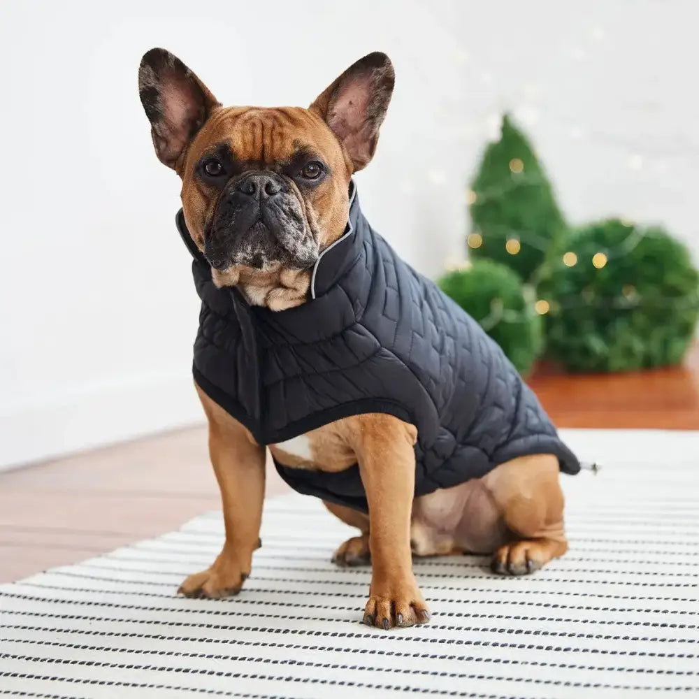 GF Pet Reversible Chalet Winter Dog Jacket GF Pet