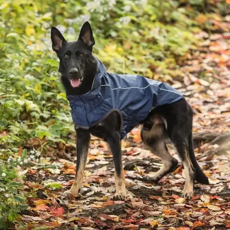 GF Pet Reversible Dog Raincoat - Talis Us