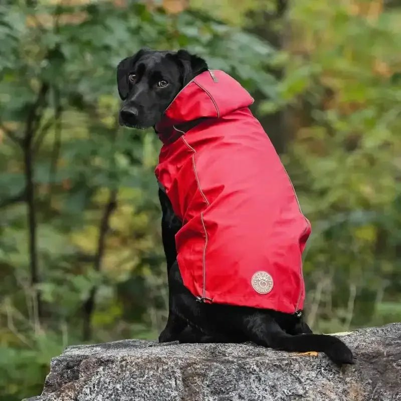 GF Pet Reversible Dog Raincoat - Talis Us