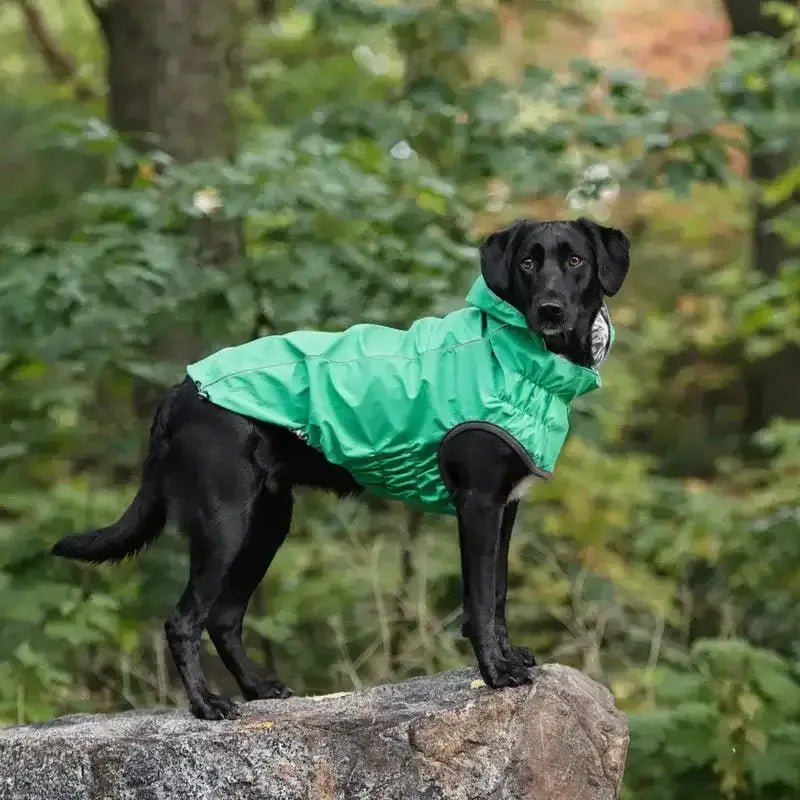 GF Pet Reversible Dog Raincoat - Talis Us