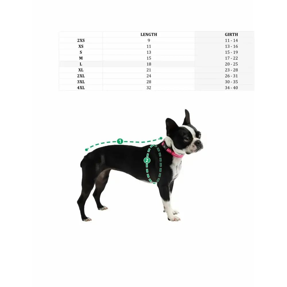 GF Pet Reversible Dog Raincoat - Talis Us
