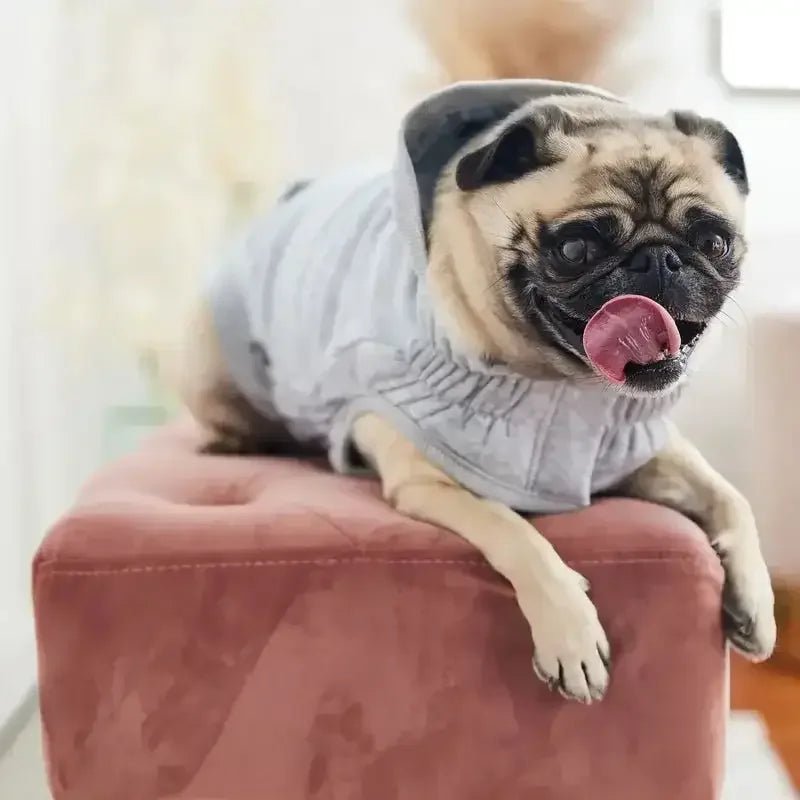 GF Pet Urban Dog Hoodie - Talis Us