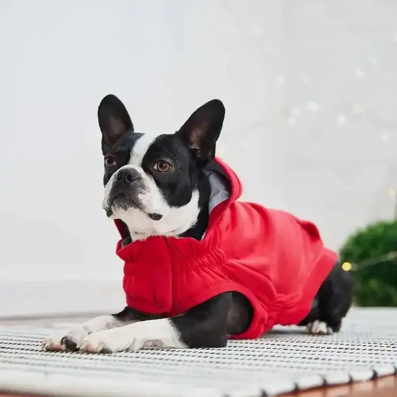 GF Pet Urban Dog Hoodie - Talis Us