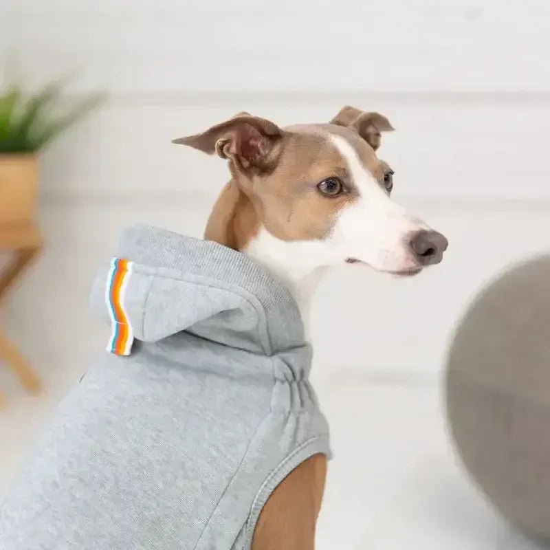 GF Pet Urban Dog Hoodie - Talis Us