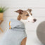 GF Pet Urban Dog Hoodie GF Pet