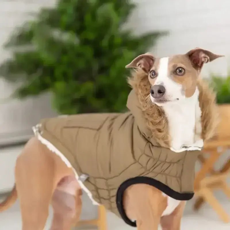 GF Pet Urban Parka Winter Dog Coat - Talis Us