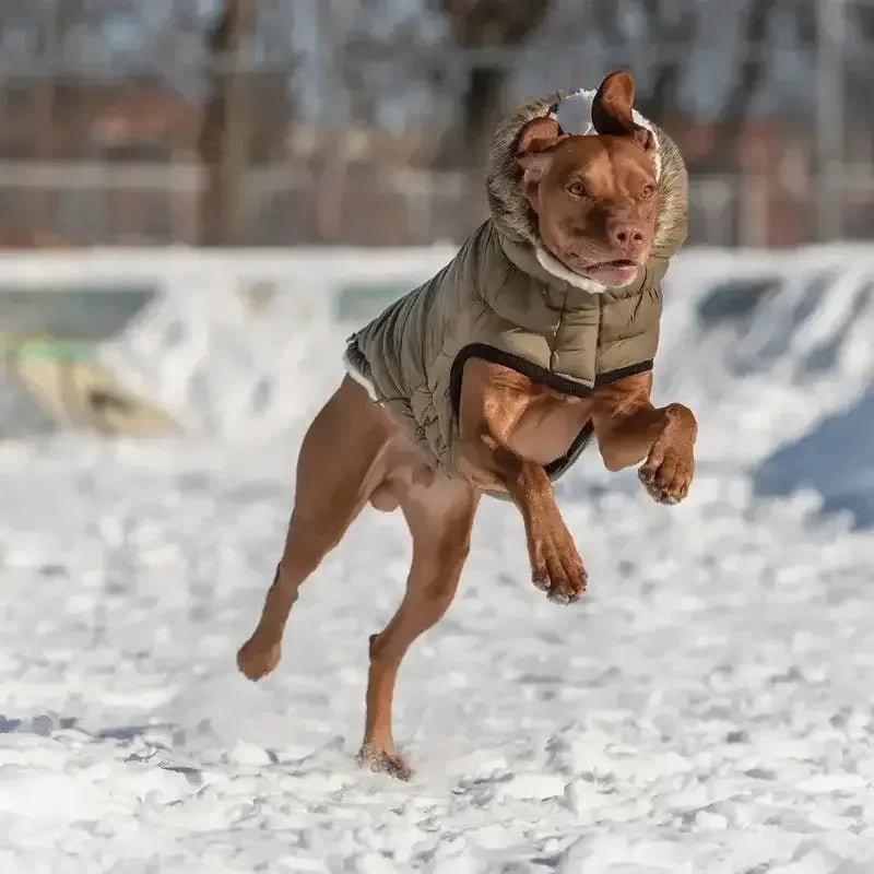 GF Pet Urban Parka Winter Dog Coat - Talis Us