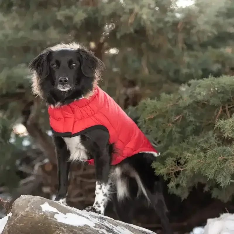 GF Pet Urban Parka Winter Dog Coat - Talis Us