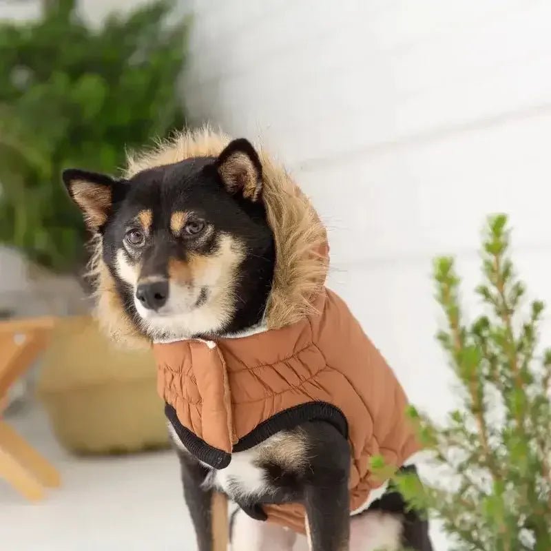GF Pet Urban Parka Winter Dog Coat - Talis Us